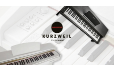 Новое поступление цифровых фортепиано Kurzweil в UPsound!